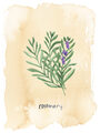 Image Not Available